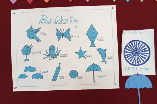 Blue Colour Day Celebrations 2022 7