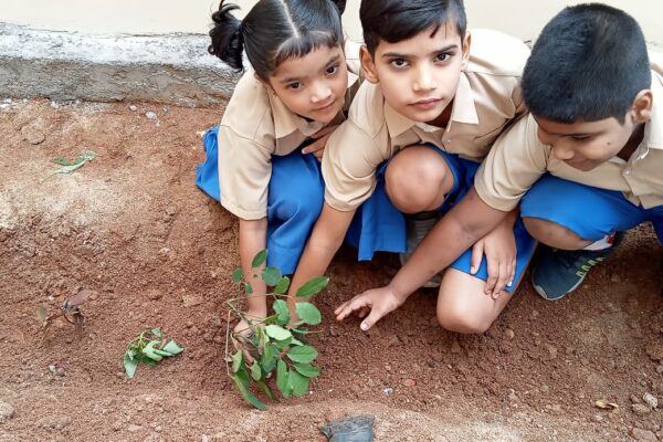 Vanamahotsava 2022 11