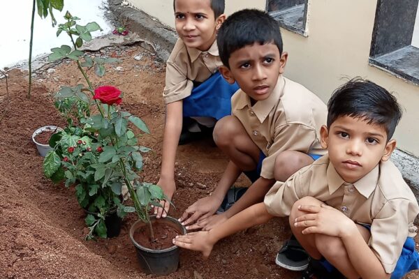 Vanamahotsava 2022 12