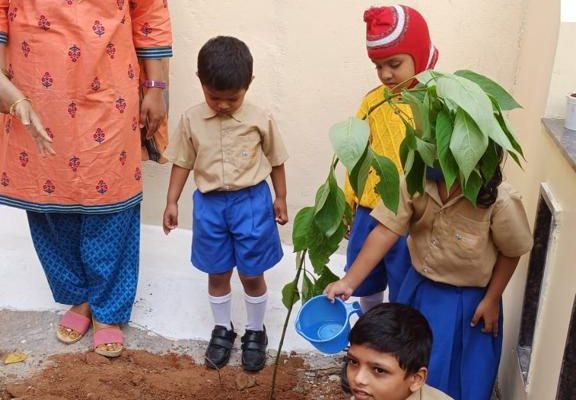 Vanamahotsava 2022 14