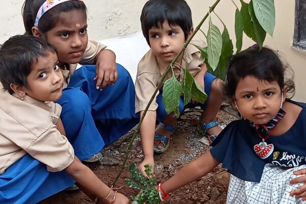 Vanamahotsava 2022 2