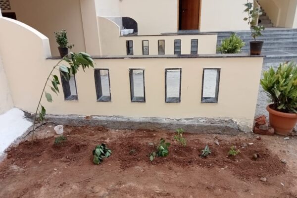 Vanamahotsava 2022 4