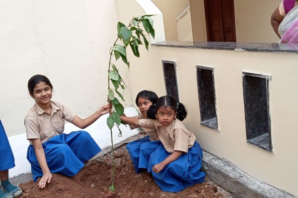 Vanamahotsava 2022 5