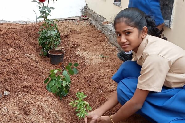 Vanamahotsava 2022 6